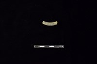 陶環藏品圖，第2張